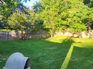 Harold B.'s Lawn Care service result