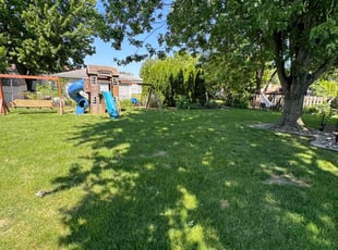 Cortney D.'s Lawn Mowing service result