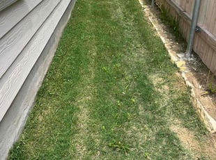 Cleanups by Joshua Benouis for Brad K. in Manor, TX