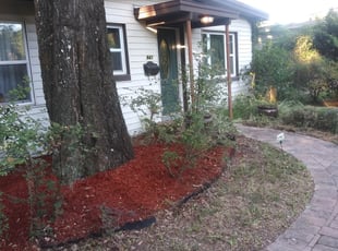 Weeding by Lee White for Beth W. in Winter Park, FL