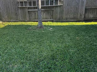 Jaz J.'s Grass Cutting service result