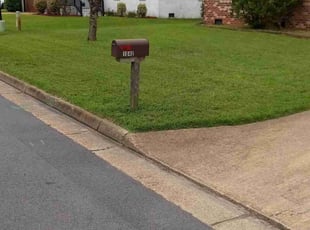 Mariyo A.'s Lawn Care service result
