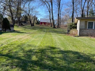 Alita T.'s Lawn Mowing Service service result