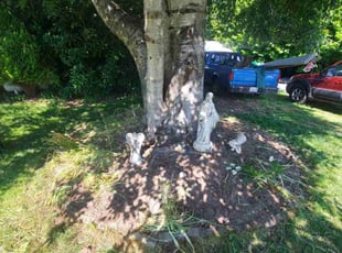 Weeding by Wes Altice for Hannelore F. in Fife, WA