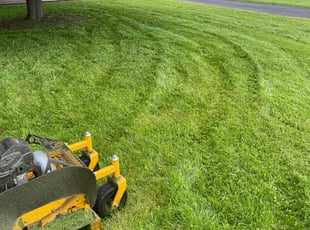 Jonathan T.'s Grass Cutting service result