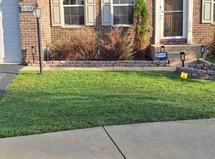 Jenita G.'s Lawn Mowing service result