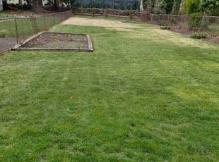 Sagar N.'s Lawn Service service result