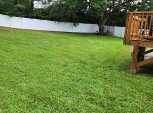 Louis P.'s Lawn Care service result