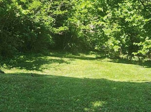 Mic W.'s Lawn Maintenance service result