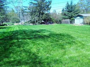 Jacob N.'s Lawn Mowing service result