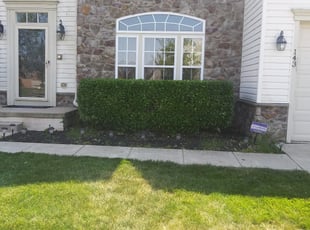 Bush Trimming by Alejandro Gamboa for Kim N. in Mount Royal, NJ