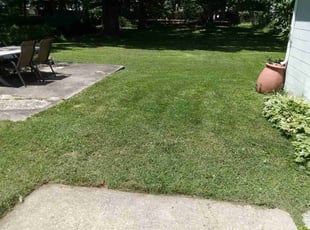 Nick D.'s Grass Cutting service result
