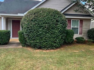 Bush Trimming by Marc Yero for Peter H. in Dallas, GA
