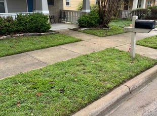 Fashard J.'s Grass Cutting service result