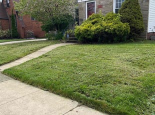 Pam R.'s Lawn Mowing service result