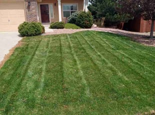Jerry L.'s Lawn Maintenance service result