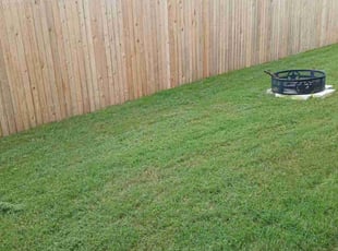 Carmen E.'s Lawn Care service result