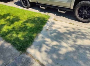 William H.'s Grass Cutting service result
