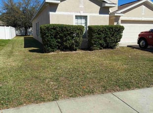 Bush Trimming by Joe Rizzo for Scot k. in Brooksville, FL