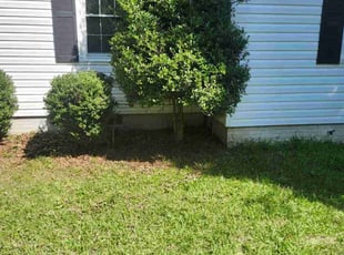 Bush Trimming by John Costner for Wendy A. in Gastonia, NC