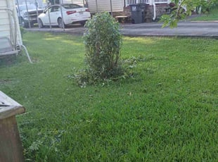 Bush Trimming by Adarius Hall for Julia D. in Hueytown, AL
