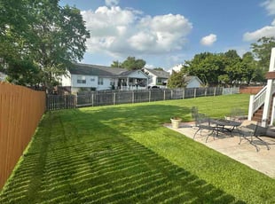 Daphanie W.'s Lawn Mowing service result