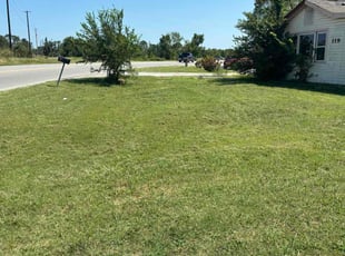 Anthony C.'s Grass Cutting service result