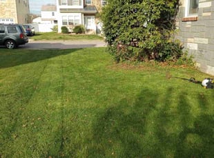 Laurie S.'s Lawn Service service result