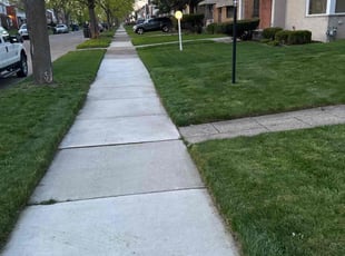 Carlyn N.'s Grass Cutting service result