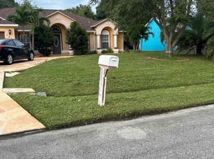 Mike -.'s Yard Cutting service result