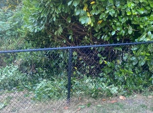 Bush Trimming by Richard Luiza Jr for Darren P. in Seattle, WA