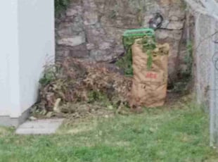 Bush Trimming by Lori Bremenkamp for Mike w. in Kansas City, MO