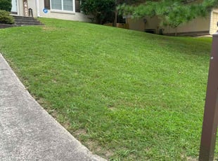 Jada M.'s Lawn Care service result