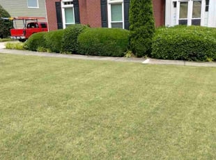 Bush Trimming by Lacie Moore for Jason S. in Dacula, GA