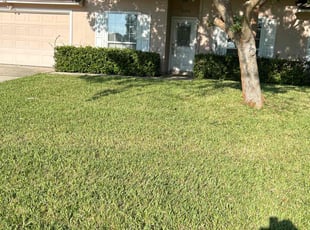Marvin C.'s Yard Cutting service result