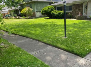 Yvonne M.'s Lawn Mowing service result