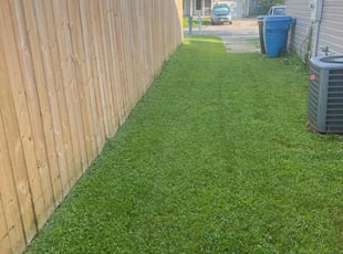 Josefine D.'s Lawn Mowing service result