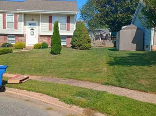 Alex A.'s Lawn Mowing service result