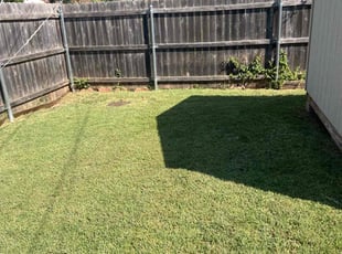 Ronald B.'s Lawn Maintenance service result