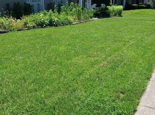 Richard D.'s Lawn Care service result