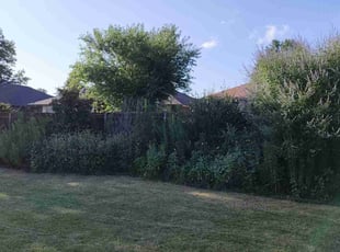 Weeding by Felicia Castillo for Terry E. in Norman, OK