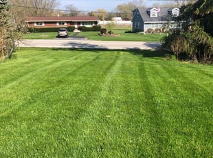 John M.'s Lawn Mowing service result