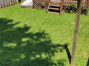 Ronny D.'s Lawn Care service result