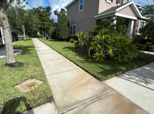 Bush Trimming by Feliciano Perez for Lilli K. in Tampa, FL
