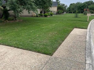 Mitalene T.'s Grass Cutting service result