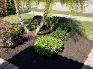Mulching by Robert Lee for Ivan S. in Venice, FL