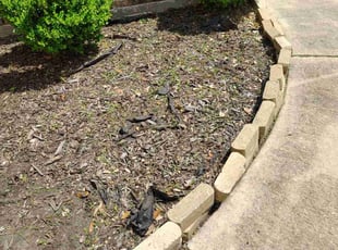 Weeding by Enrique Ramirez for Ryan R. in Humble, TX