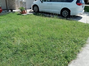 Cleanups by Jason Westgor for Richard S. in San Antonio, TX