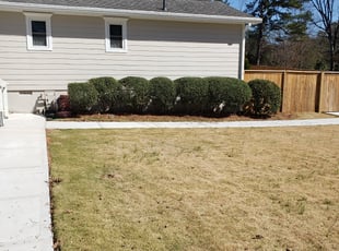 Bush Trimming by Peter Coke for Julie W. in Marietta, GA