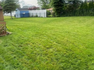 Sylvia B.'s Lawn Care service result
